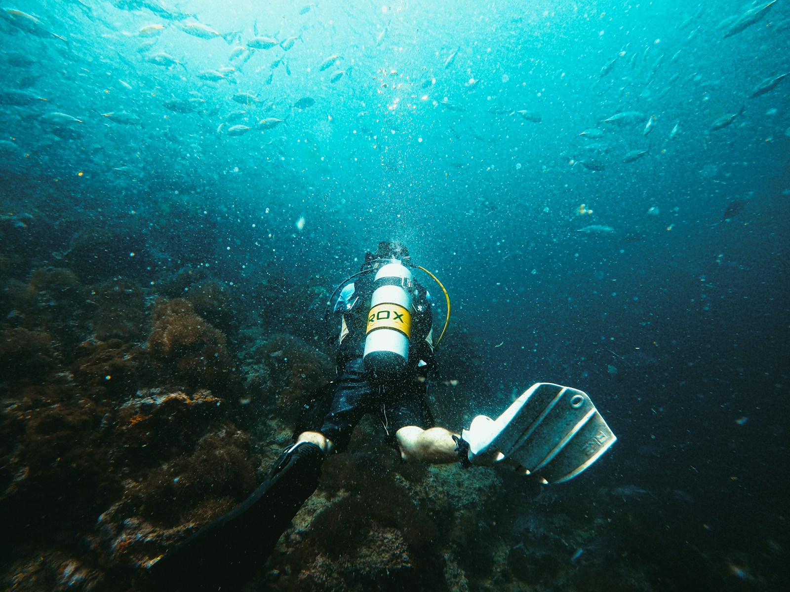 Scuba Diving Phú Quốc: An Thới Courses, Prices, Best Season