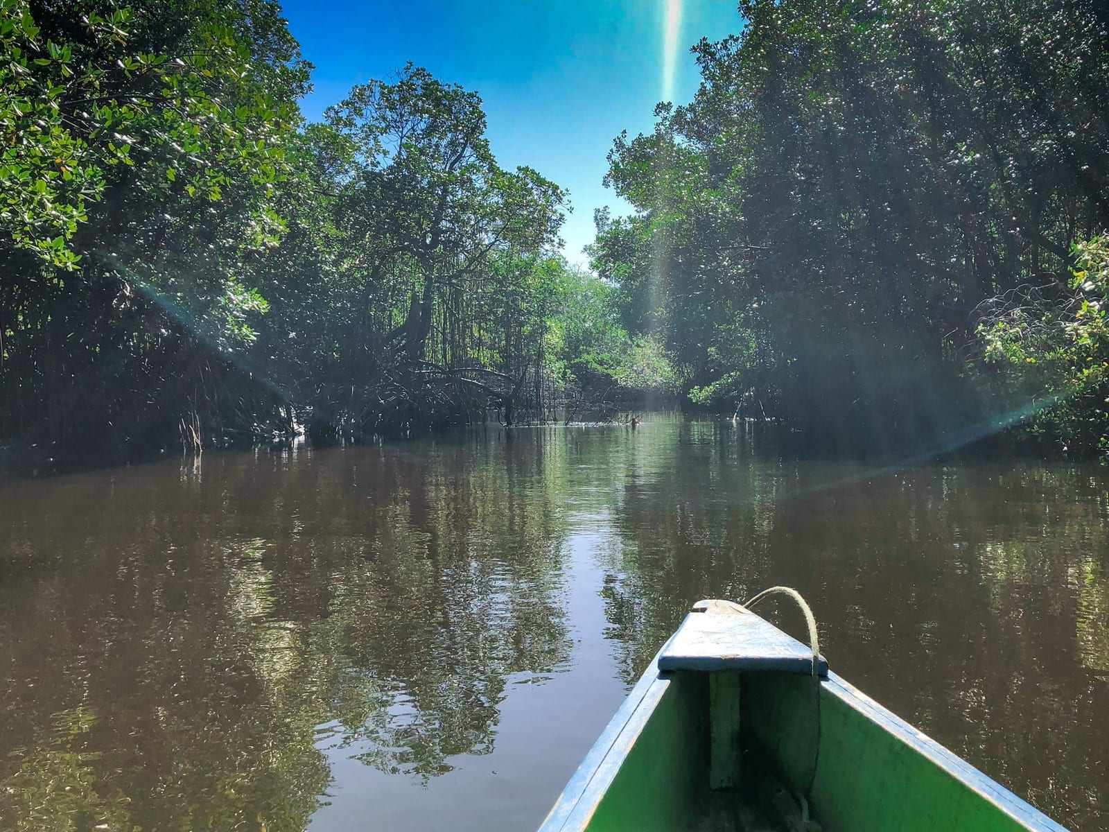 A small boat drifting through a shaded mangrove channel, green water reflecting the trees on both banks