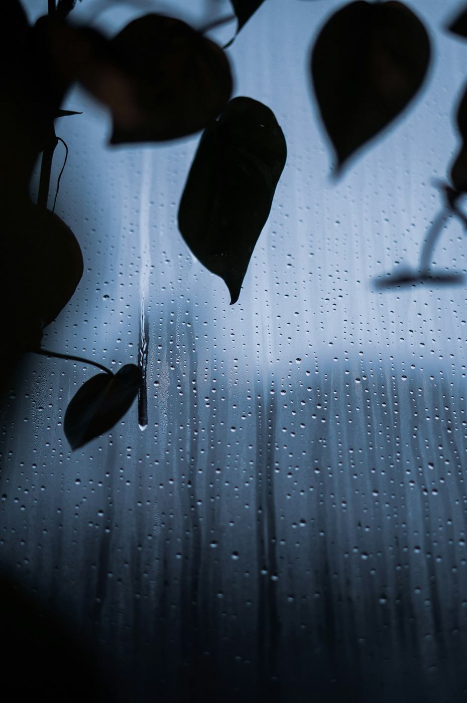 Rain on a window in a tropical café — Phú Quốc rainy season afternoons.