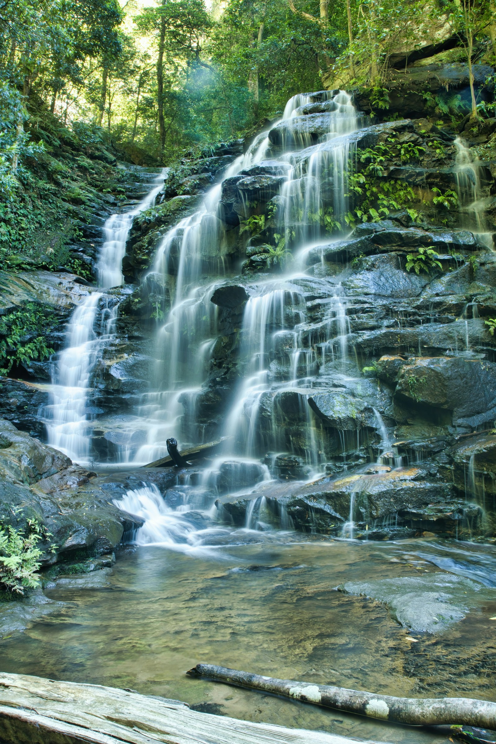 Suối Tranh Phú Quốc: the forest waterfall to see now