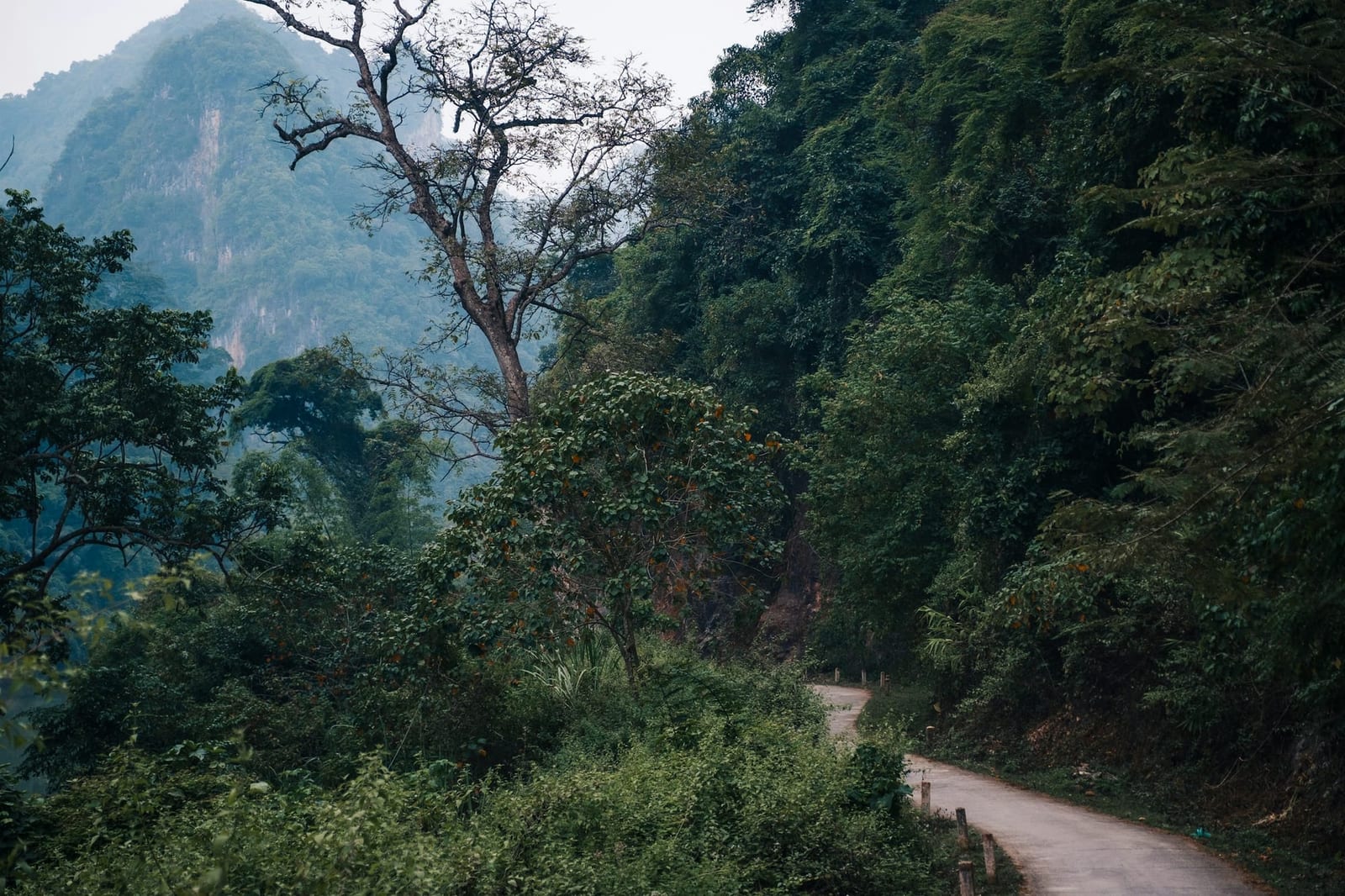 Phu Quoc National Park: trails, birds, and how to get there